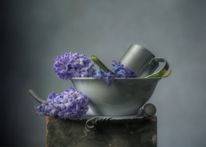 125. Hyacinths & Bowl 2023